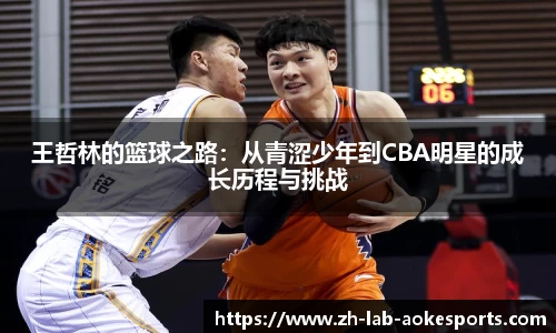王哲林的篮球之路：从青涩少年到CBA明星的成长历程与挑战